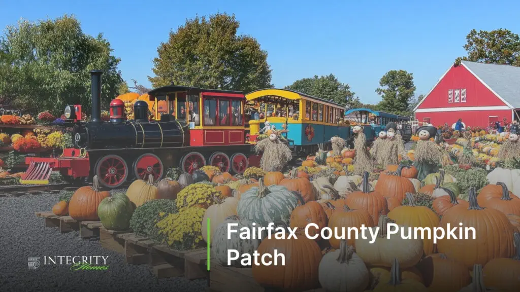 Fairfax County Pumpkin Patch